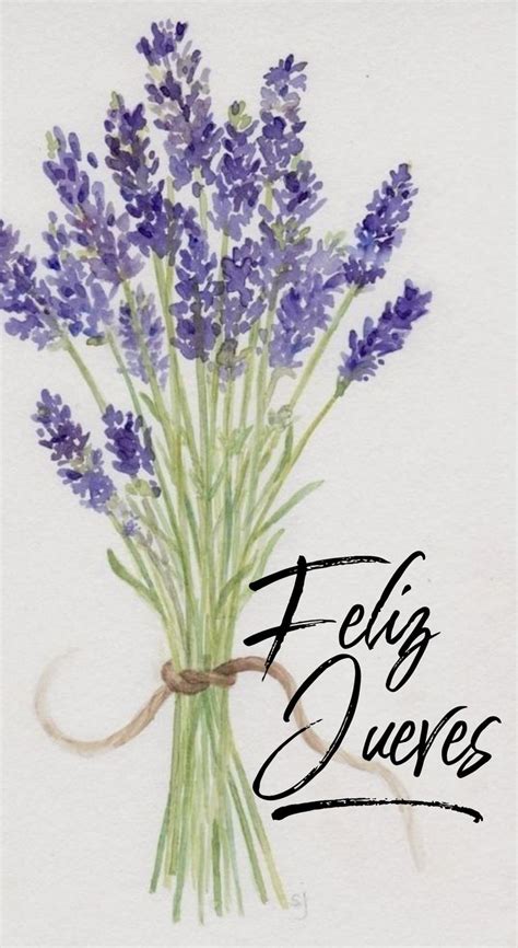 An Image Of A Bouquet Of Lavenders With The Words Eleguequees On It