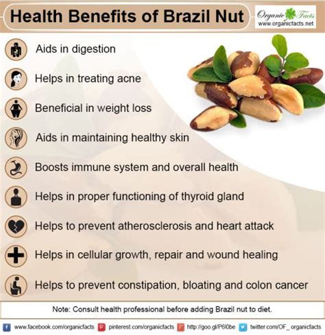 Health Benefits Of Brazil Nut Coconut Health Benefits Health
