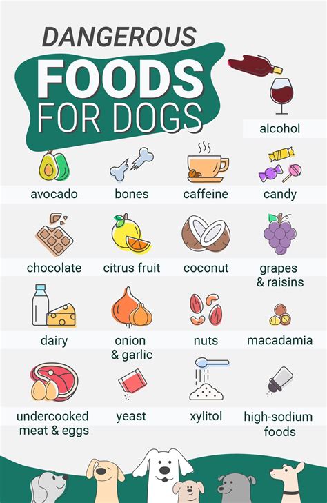 17 Dangerous Foods Your Dog Should Never Eat Pet Keen
