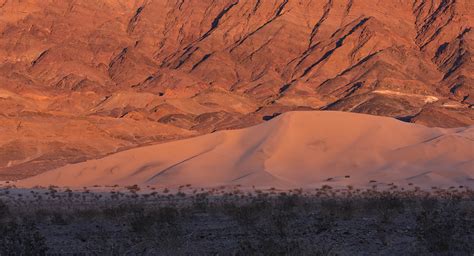 Ibex Dunes Photo Blog By Rajan Parrikar