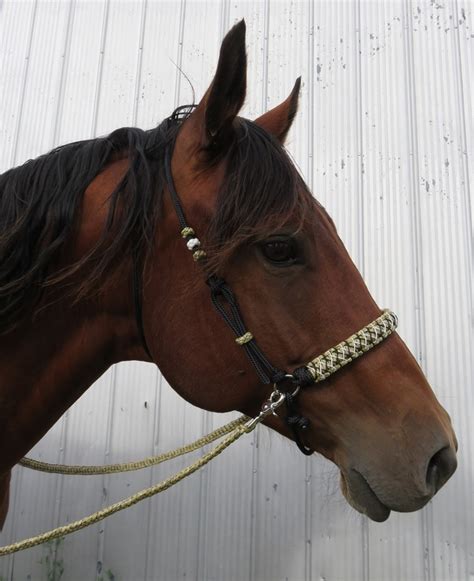We did not find results for: HEADSTALL SIDE PULL - Rope Horse Tack