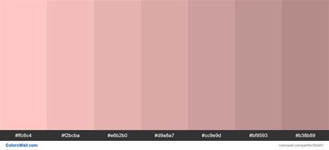 Cinderella Pink Shades Colors Palette Colorswall