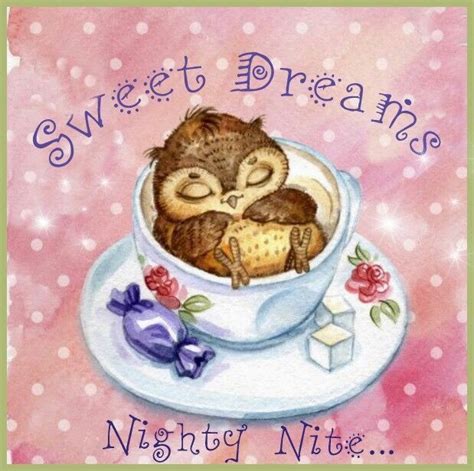 Sweet Dreams Nighty Nite Owls Drawing Beautiful Owl Owl Painting