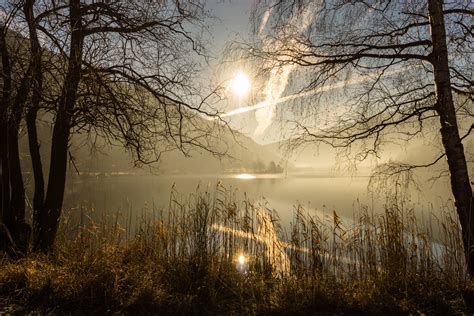 Bakgrundsbilder Landskap Träd Vatten Natur Skog Gren Vinter