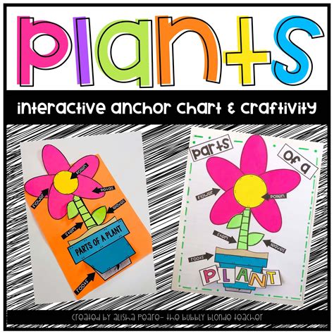 Plants Anchor Chart And Crafitivity Plants Anchor Charts Anchor Charts