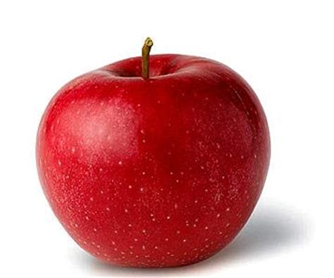 Publican anker has listed below the best options for you. 12 Great Apples for Baking | Midwest Living