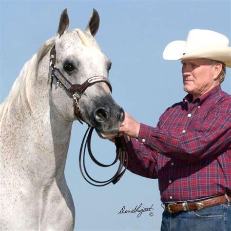 Stallions Terry Bradshaw Quarter Horses In 2020 Quarter Horse