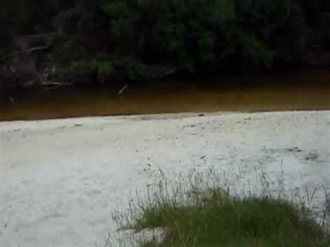 My budget is close to $14 million. Another part of Cold Water Creek in East Milton, Florida ...