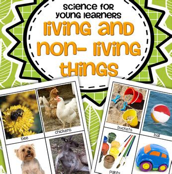 living   living  science  preschool pre   kindergarten