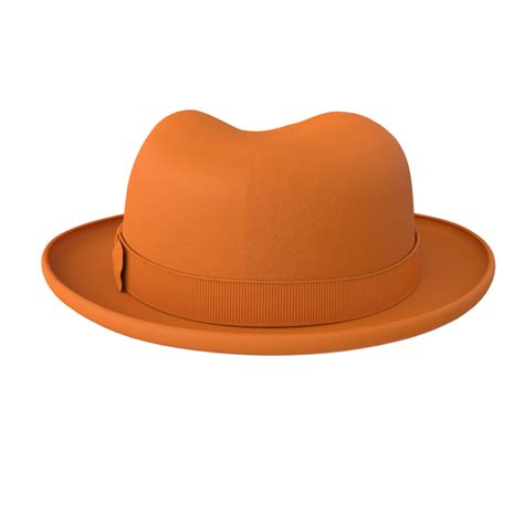 Hat Isolated On Transparent Background 19953846 Png