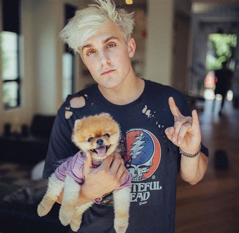 We did not find results for: How Much Money Jake Paul Makes On YouTube - Net Worth - Naibuzz
