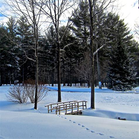 Snowy Meadow Photograph By Elizabeth Tillar