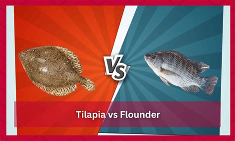 Tilapia Vs Flounder Stating Their Important Differences Funcfish