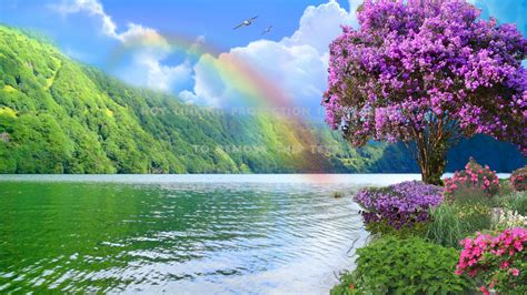 Collection of beautiful pictures,flowers gallery etc. * rainbow nature river flowers hd wallpaper