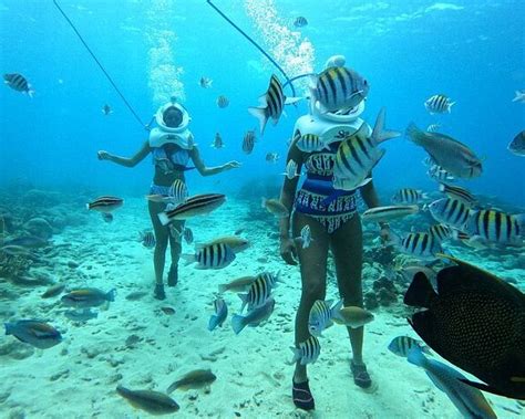 Curacao Underwater Marine Park Willemstad All You Need To Know