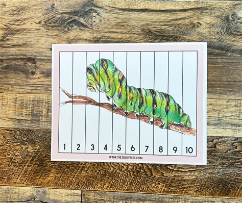 Insect Number Sequencing Puzzles Insect Learning Mini Beasts Printable