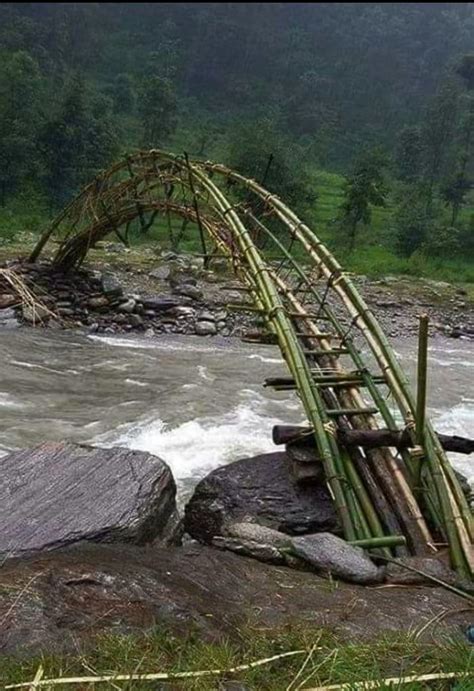 Bamboo Bridge Bamboo Building Old Bridges Bamboo Structure Bamboo