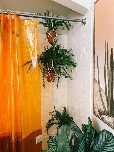 See How I Styled My Shower Plants 7 Best Plants For Your Bathroom