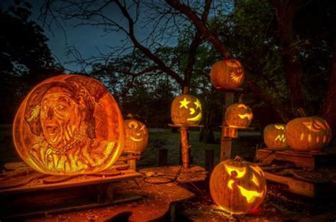 Incredible Jack O Lanterns Made By Crew From Passion For Pumpkins