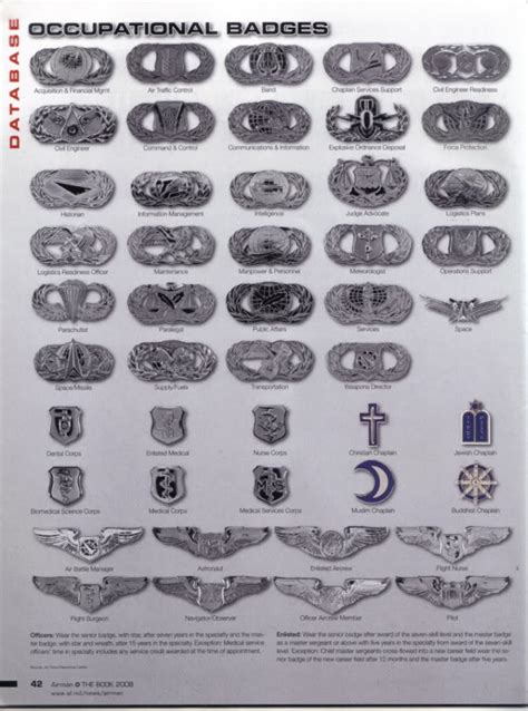 Badges And Wings Of The United States Air Force 2008