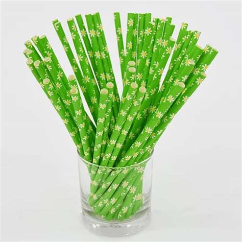 Bamboo Paper Straws Bamboo Paper Straws