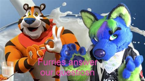 furries answers our questions youtube