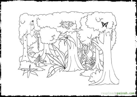 Amazon Rainforest Plants Coloring Page Page For All Ages Coloring Home