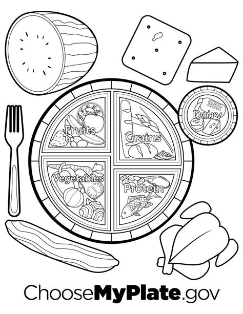 The grains food group gives children energy, fiber and nutrients. MyPlate Coloring Page | Food coloring pages, My plate ...
