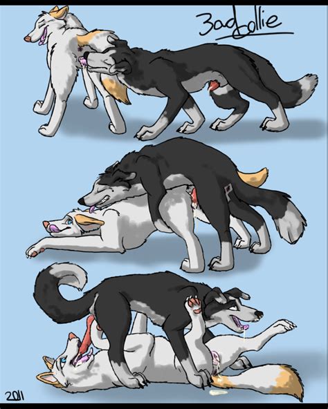 Rule 34 69 Anthro Ass Up Bad Collie Canine Cunnilingus Doggy Style
