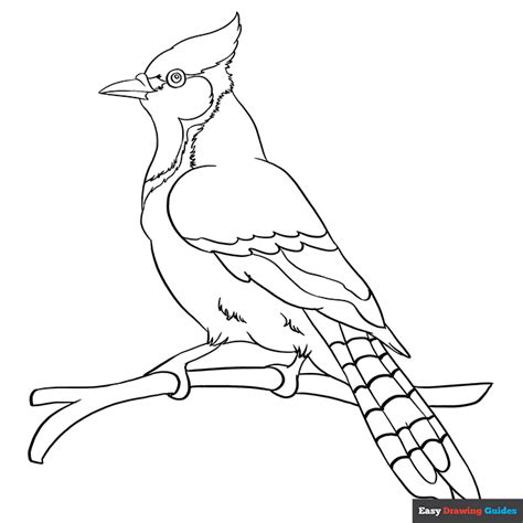 Free Printable Bird Coloring Pages For Kids