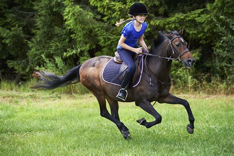 How To Ride A Horse Safely Erofound