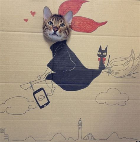 We did not find results for: Cute Cat Poses In Boxes (PHOTOS) | HuffPost UK