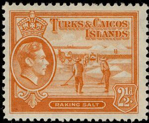 Stamp Raking Salt Turks And Caicos Islands Issues Of 1938 45 Sg TC 199