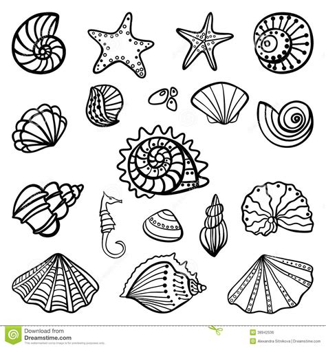 Coloring Pages Shell Shells Clam Oyster Sea Colouring Drawing Seashells