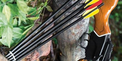 Best Crossbow Bolts For Hunting And Archery In 2021