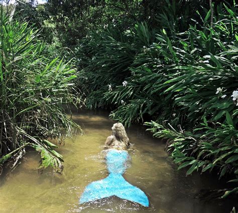 Mirella Ferraz Brazilian Mermaid Mermaid Dreams Mermaid Real Mermaids