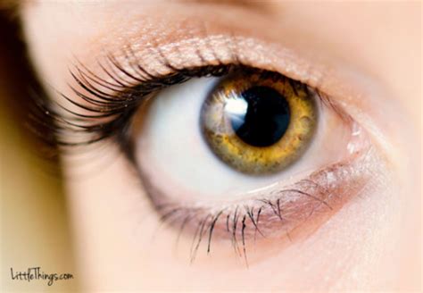 Scientists Say That Your Eye Color Reveals Information About Your