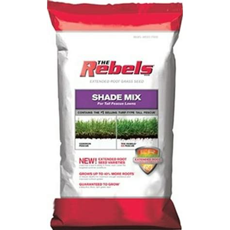 Rebel Tall Fescue Shade Grass Seed 20 Lbs