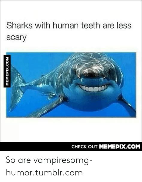 Sharks With Human Teeth Are Less Scary Check Out Memepixcom Memepixcom