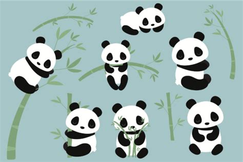 Pandas Graphic By Poppymoondesign · Creative Fabrica