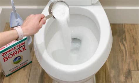 how to get rid of toilet ring 14 easy ways