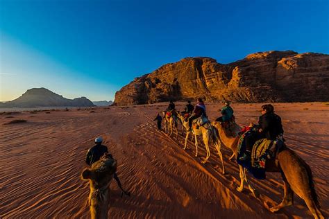 Jordans Camel Safari Expedition Jordan Inspiration Tours