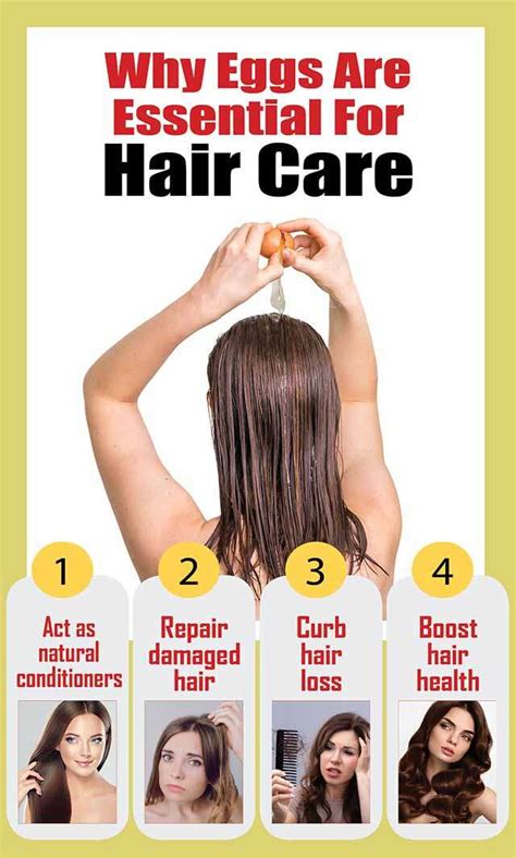 How To Make Your Hair Grow With Eggs Home Interior Design