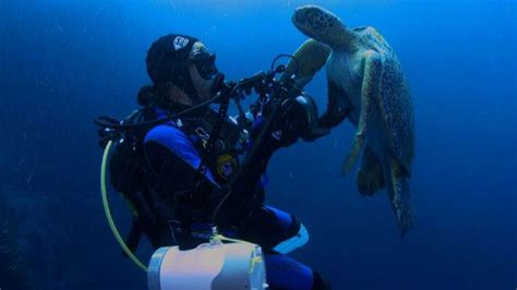 Underwater Indiana Jones Trying To Save The Oceans Bbc News