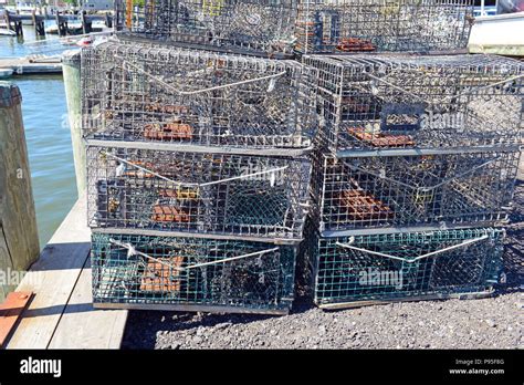Lobster Traps Stacked At Harbor Dock Common Coastal Scene On The East