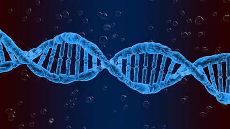 La biología es una ciencia antigua desde el punto de vista de sus comienzos pero joven desde el punto de vista de los continuos descubrimientos.la historia de l… ¿por qué registrarte en brainly? concepto de genes reguladores y genes estructurales ...
