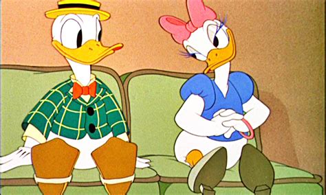 Dateidaisy Duck Pictures Hd Wallpapers Disney Wiki Fandom Powered By Wikia