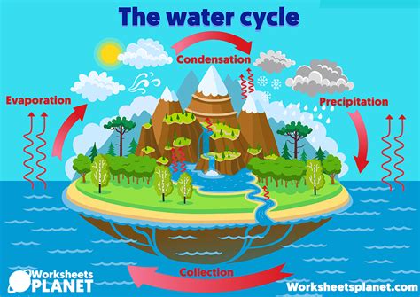 The Water Cycle Stages And Craft Science Resources