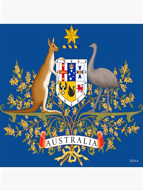 Coat Of Arms Of Australia Poster By Tpixx Redbubble