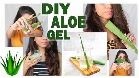 Homemade Aloe Vera Gel Pure Youtube